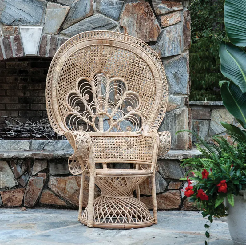 Lollipop Rattan Peacock Lounge Chair - Matthew Izzo Collection 1