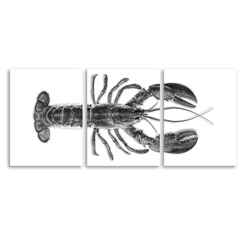 Maine Lobster (Black) 1