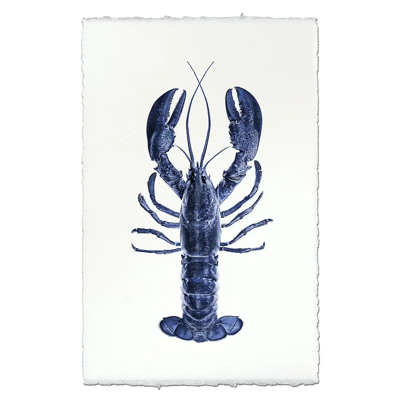 Maine Lobster (Blue) 1