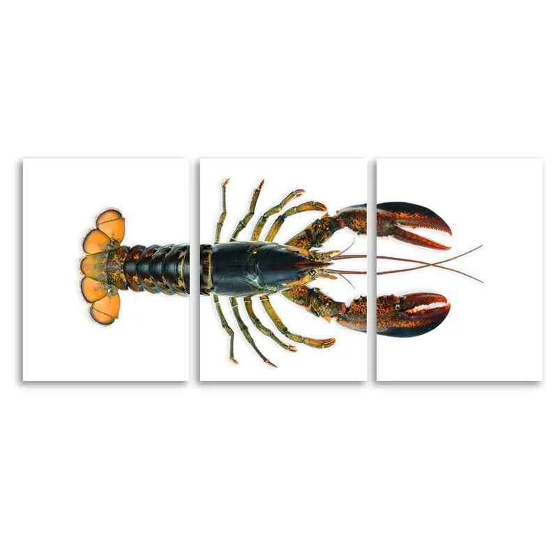 Maine Lobster (Natural) 1