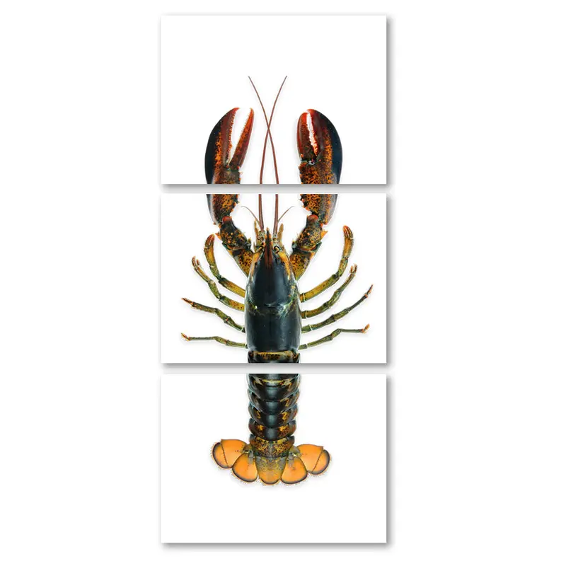 Maine Lobster (Natural) 2