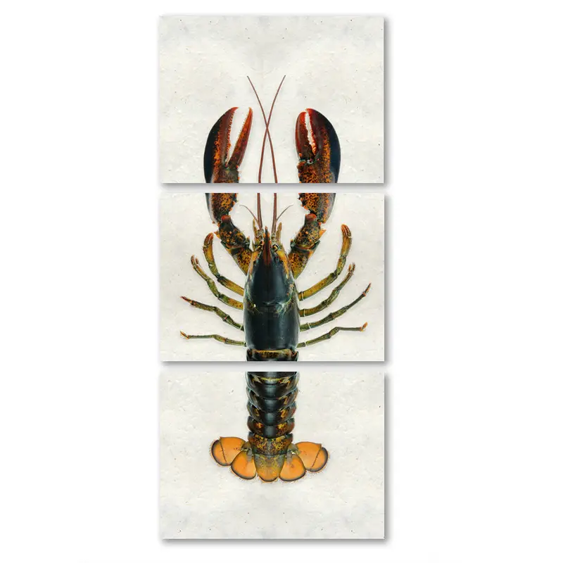 Maine Lobster (Natural) 3