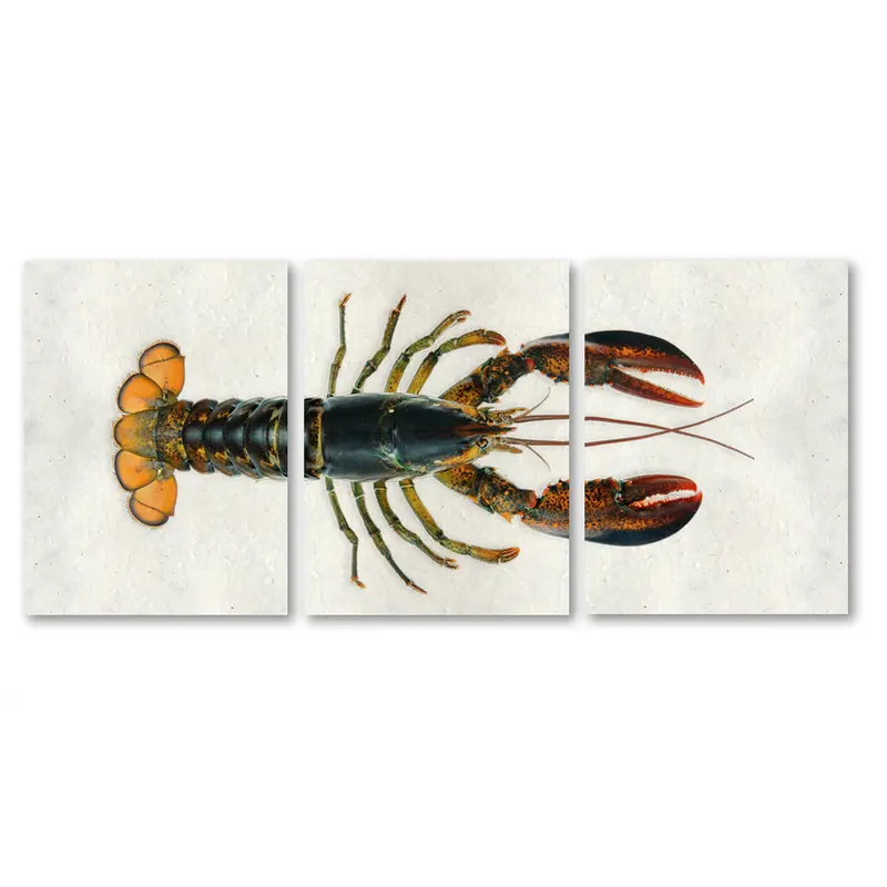 Maine Lobster (Natural) 4