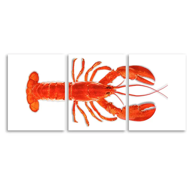Maine Lobster (Red) 1