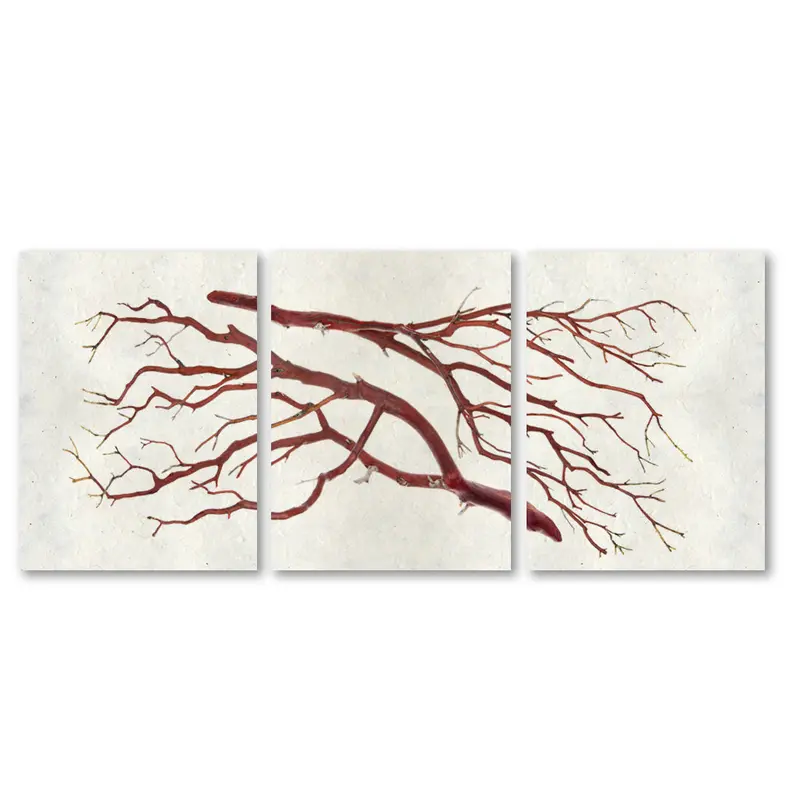 Manzanita Trilogy 1