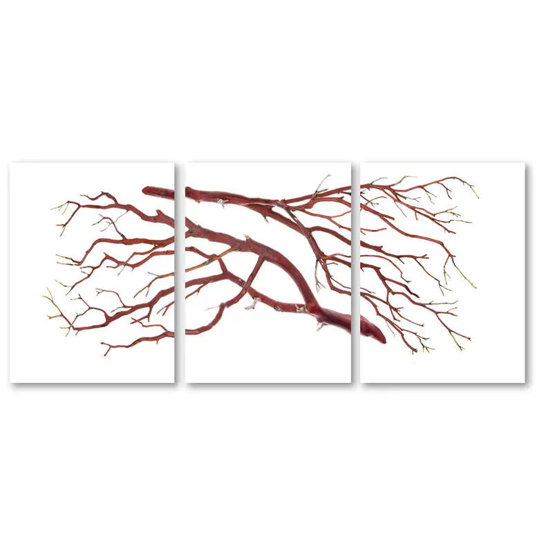 Manzanita Trilogy 2
