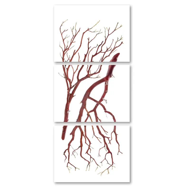 Manzanita Trilogy 4