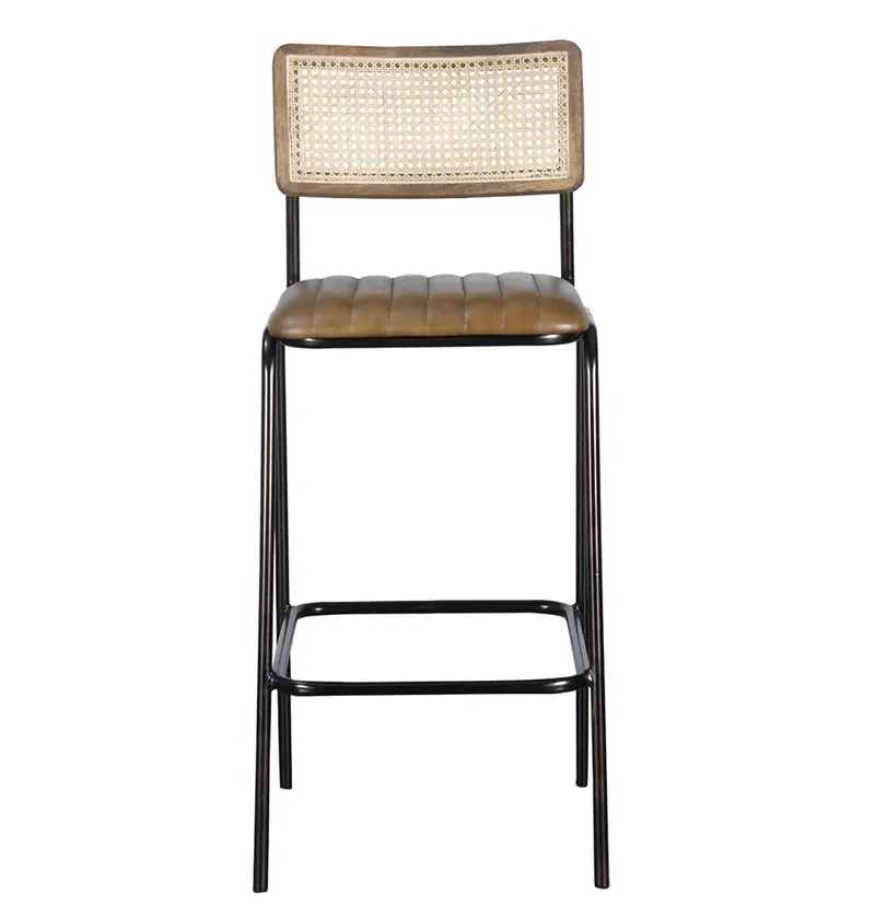 Modena Bar Stools, Set Of 2 - Matthew Izzo Collection 1