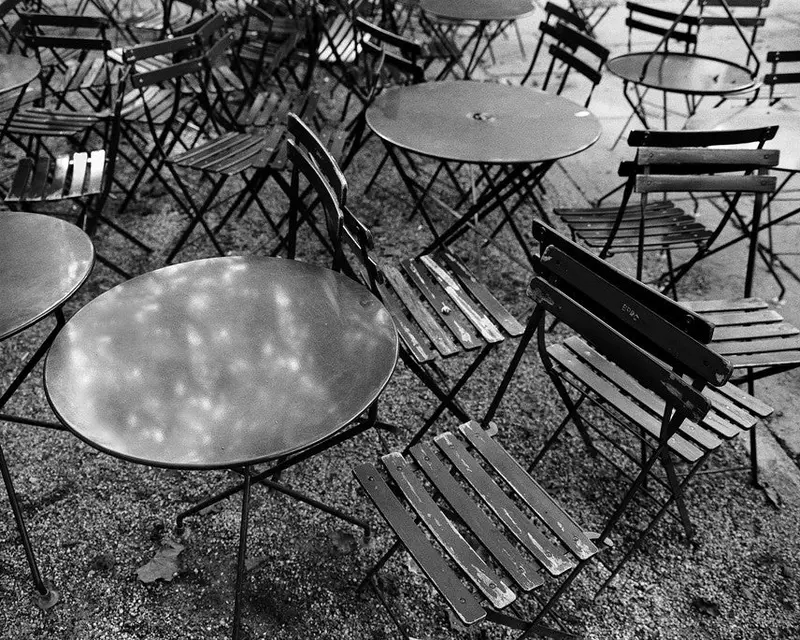 Morning Discord, Bryant Park - New York,Ny 1