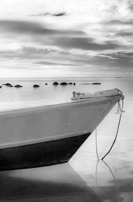 Morning Light - Taveuni, Fiji 1