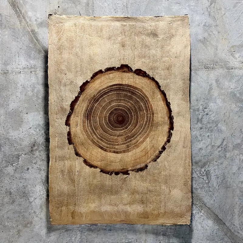 Oak (Amate Sierra) 1