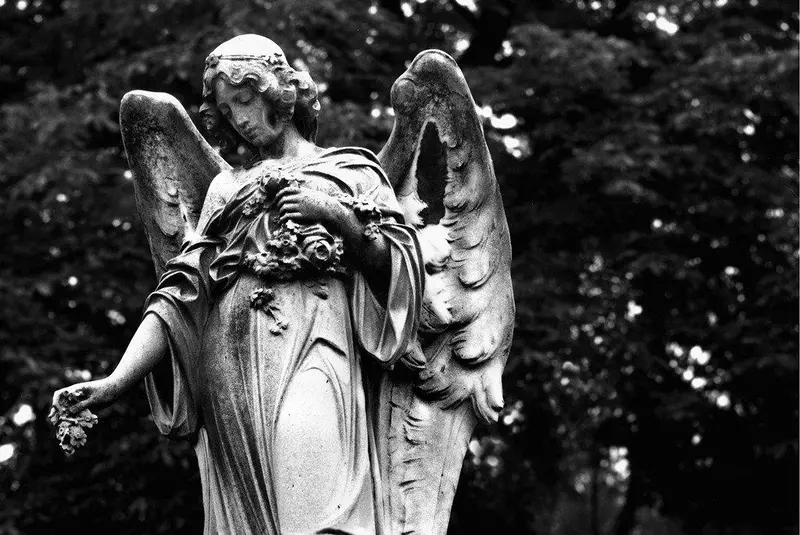 Offering- Oakland, Ca 1