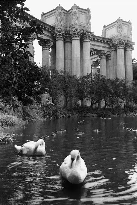 Palace Of Fine Arts - San Francisco, Ca 1