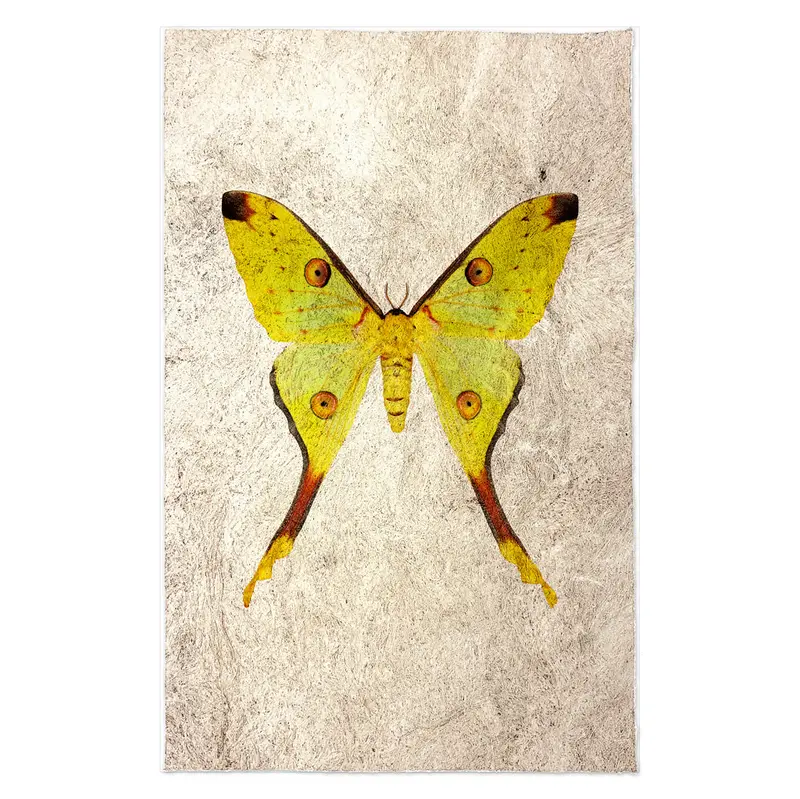 Papilionoidea #1 1