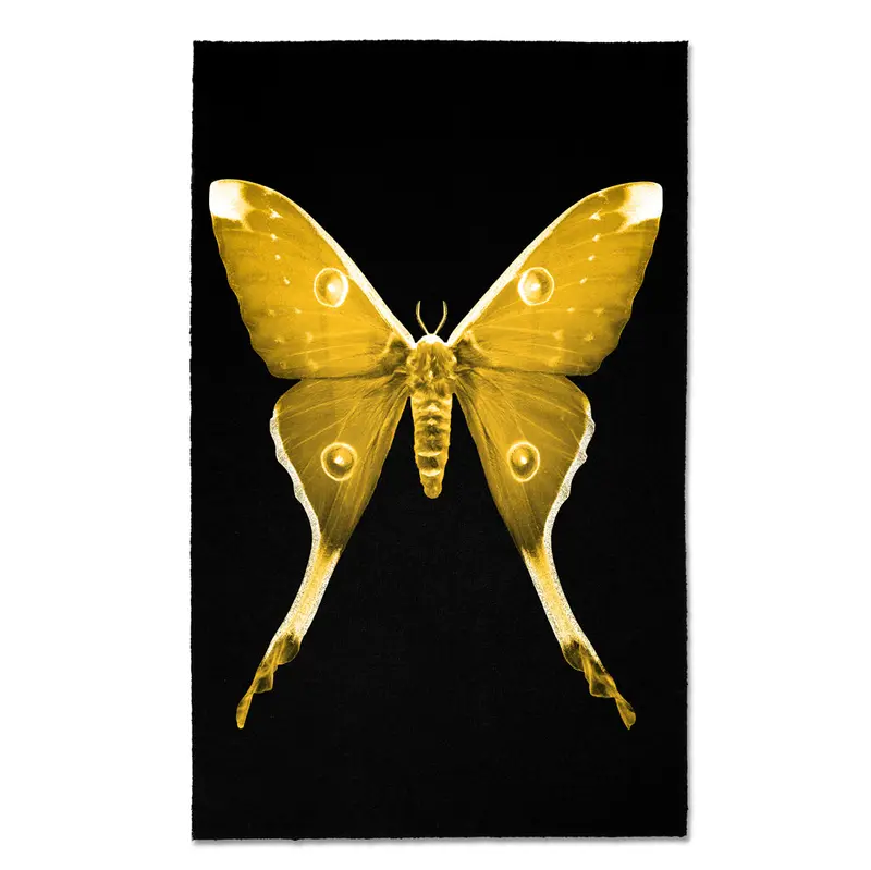 Papilionoidea #1 1