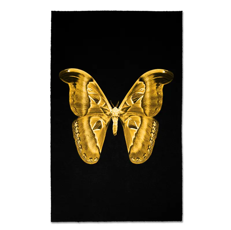 Papilionoidea #2 1