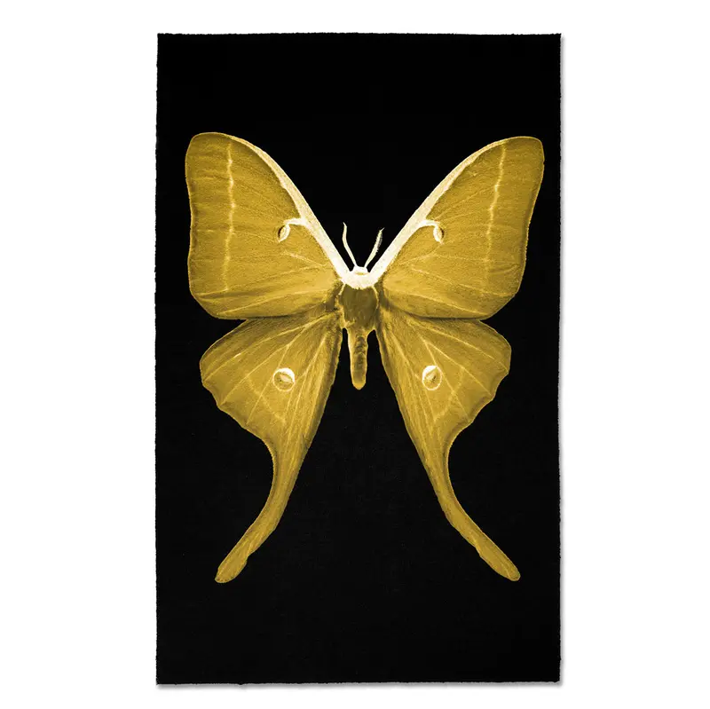 Papilionoidea #3 1