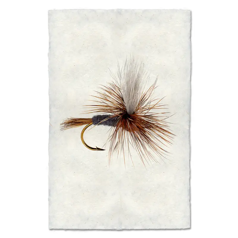 Parachute Adams 1