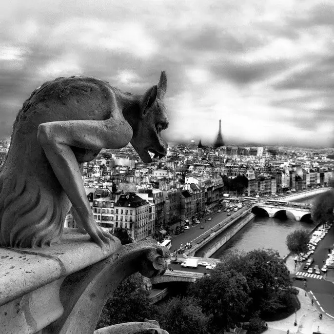 Paris View From Notre Dame- Paris, France 1