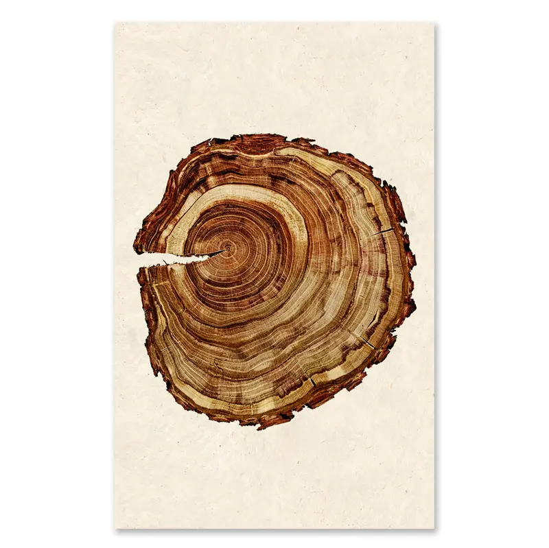 Plum Wood #1 Grand Format 1