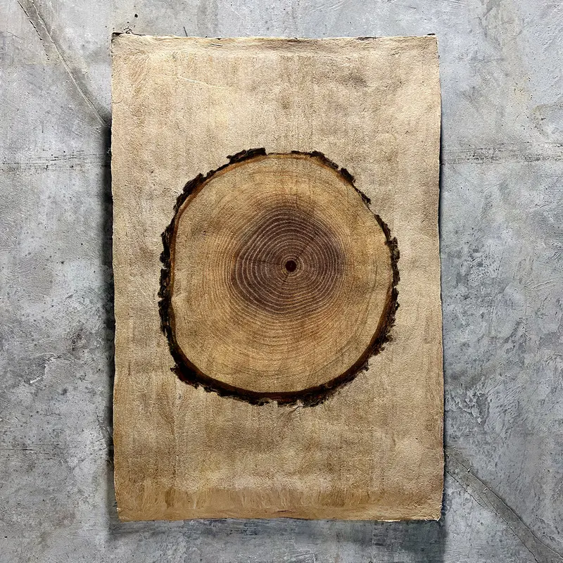 Poplar (Amate Sierra) 1