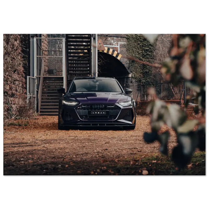 Premium Canvas - Urban Rs6 Merlin Purple 1