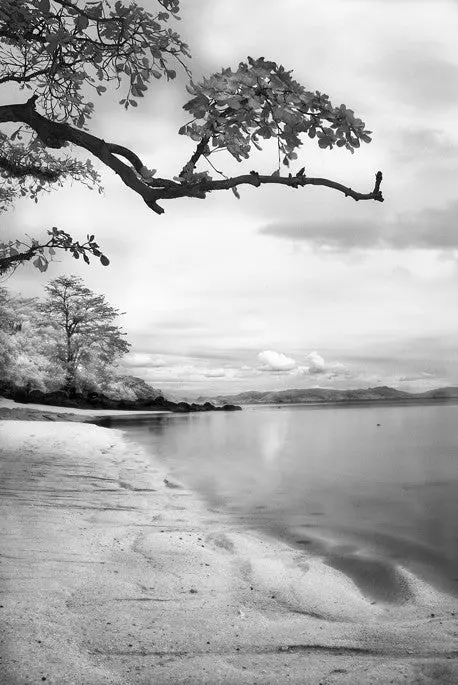 Prince Charles Beach #1 - Taveuni, Fiji 1