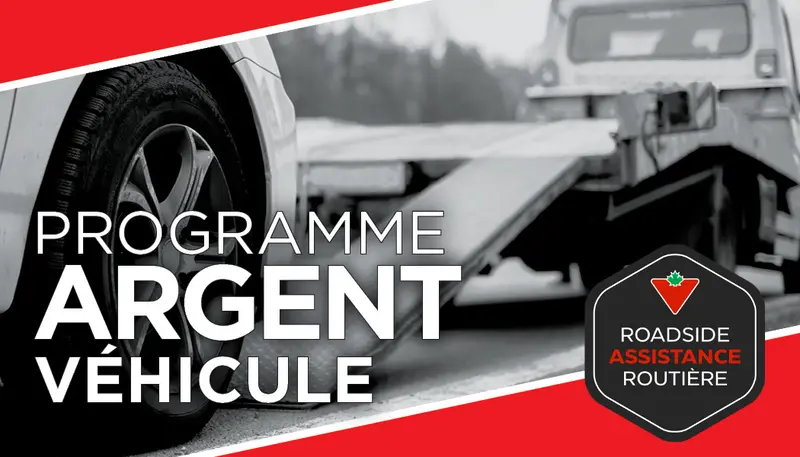 Programme De Véhicule Argent 1