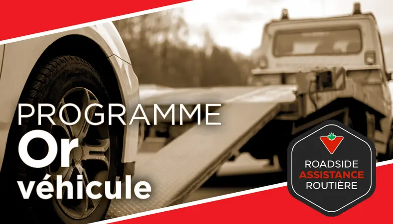 Programme De Véhicule Or 1