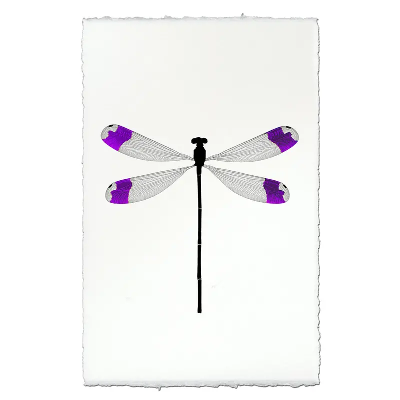 Purple Tipped Damsel 1