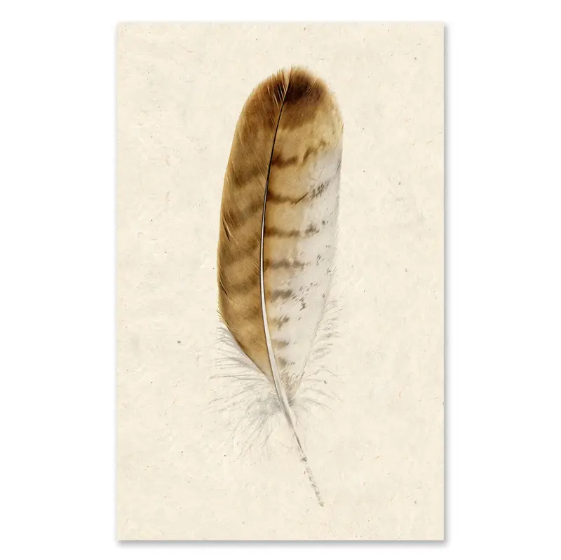 Red-Tailed Hawk Grand Format 1