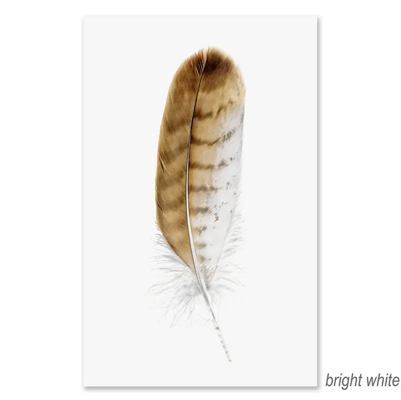 Red-Tailed Hawk Grand Format 2