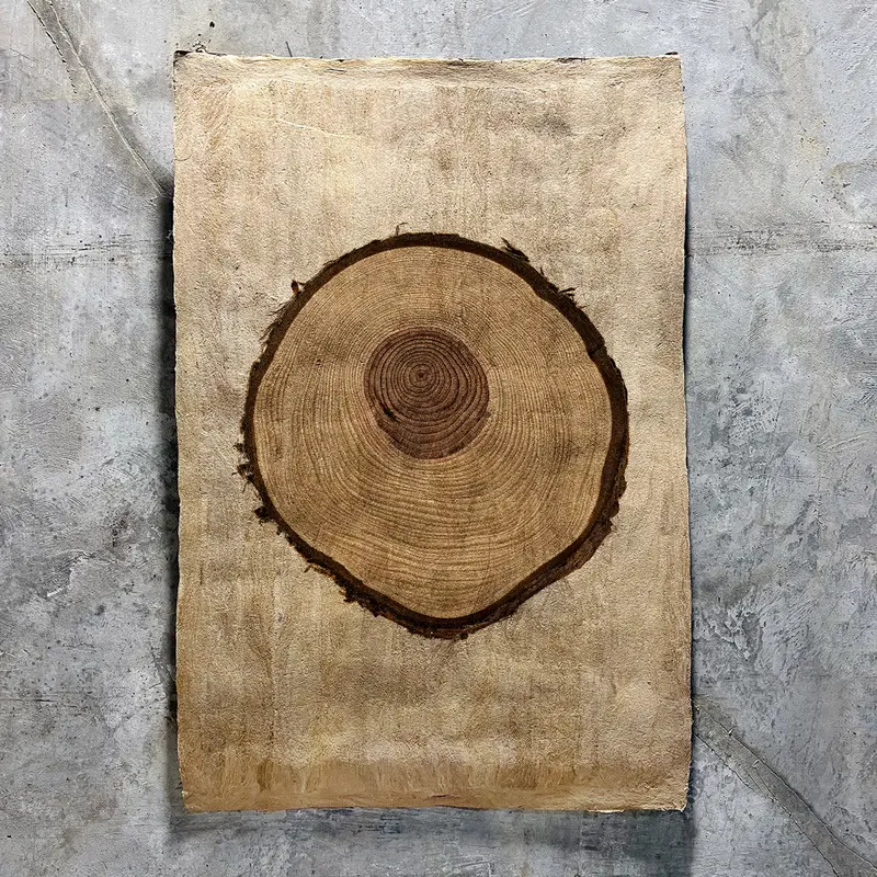 Redwood (Amate Sierra) 1