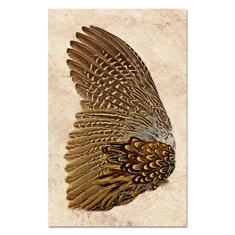 Ring Neck Pheasant (Left) 1