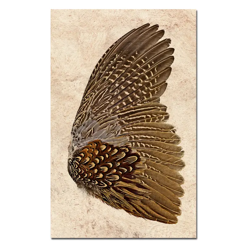 Ring Neck Pheasant (Right) 1