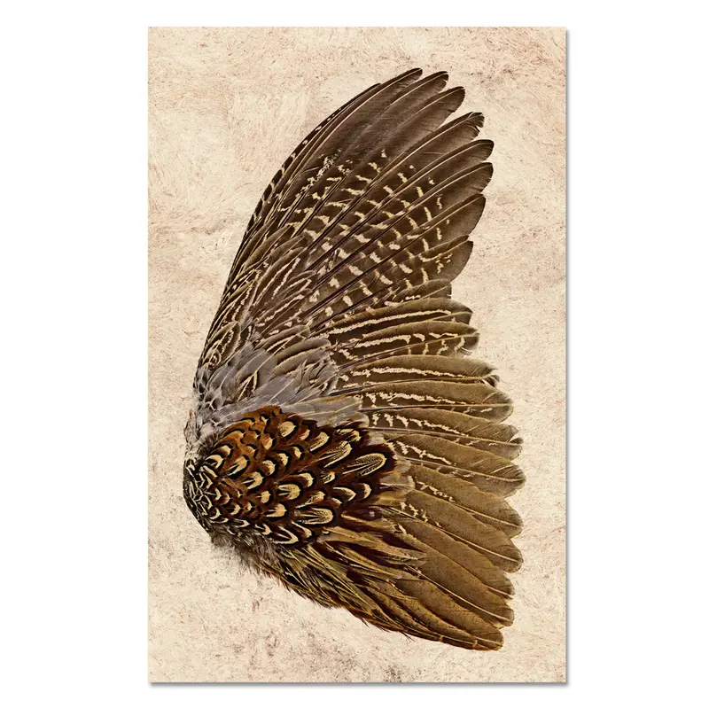 Ring Neck Pheasant (Right) Kozo Amate Paper Grand Format 1
