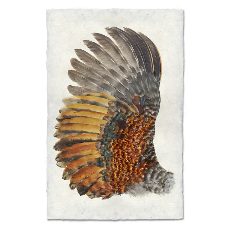 Rooster Wing (Left) 1