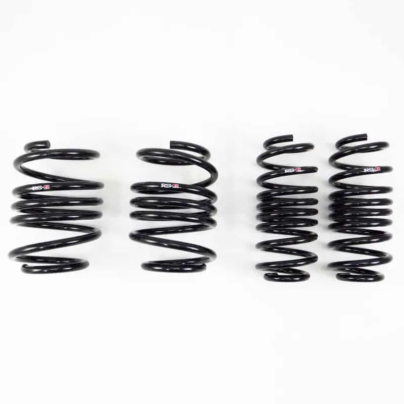 Rs-R H059d Down Springs 1