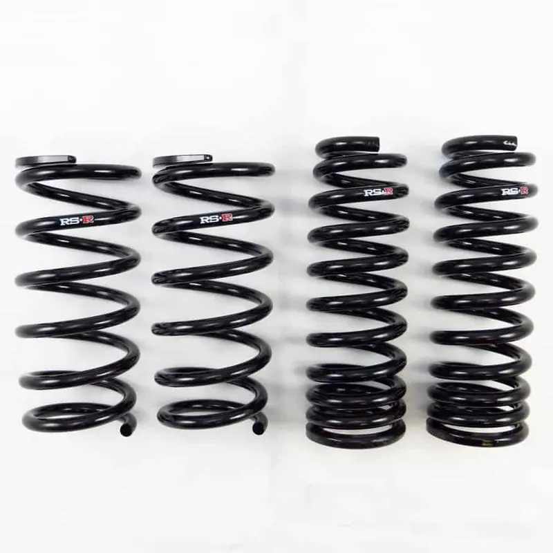 Rs-R T195d Down Springs 1