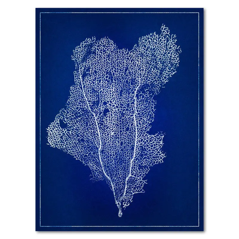Sea Fan #1 Blue Print 1