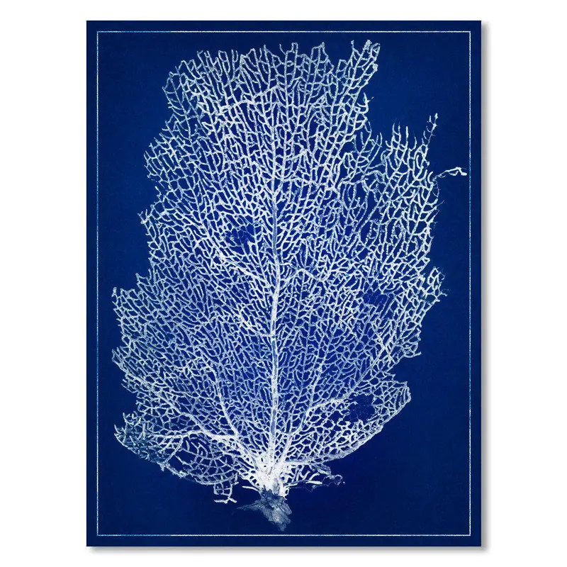 Sea Fan #2 Blue Print 1