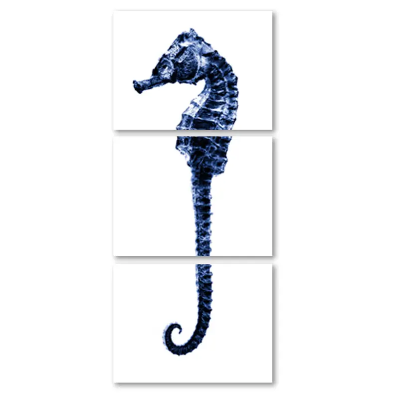 Sea Horse #2 Trilogy 1