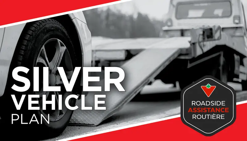 Silver Vehicle Plan 1