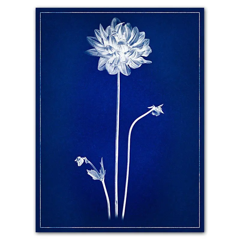 Single Dahlia Blue Print 1