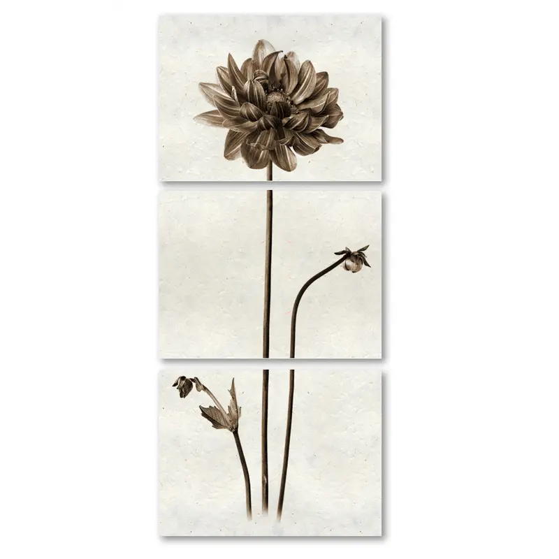 Single Dahlia Trilogy 1