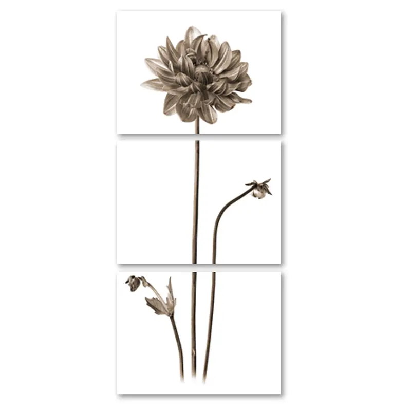 Single Dahlia Trilogy 2