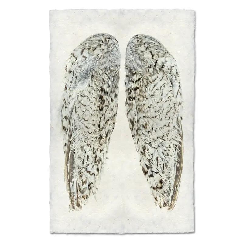 Snowflake Quail Wings 1