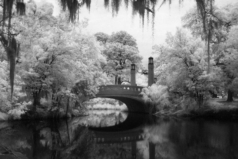 Southern Crossing, City Park - New Orleans, La 1