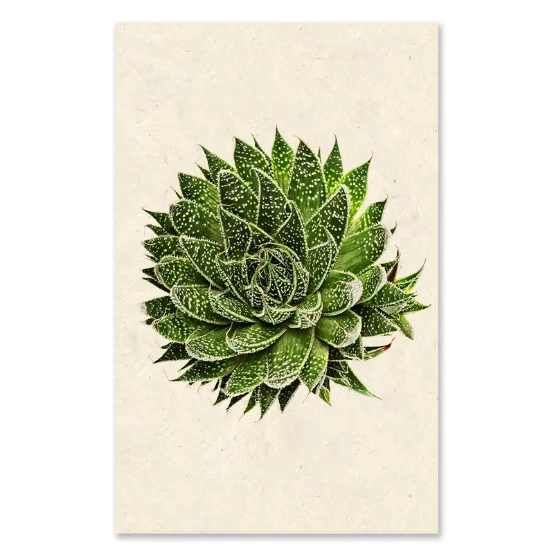 Succulent #10 Grand Format 1