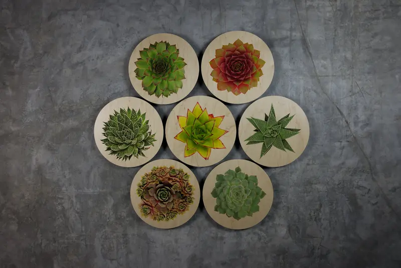 Succulent-Inspired Geometric Art